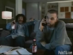 Pub budweiser Wazaaa